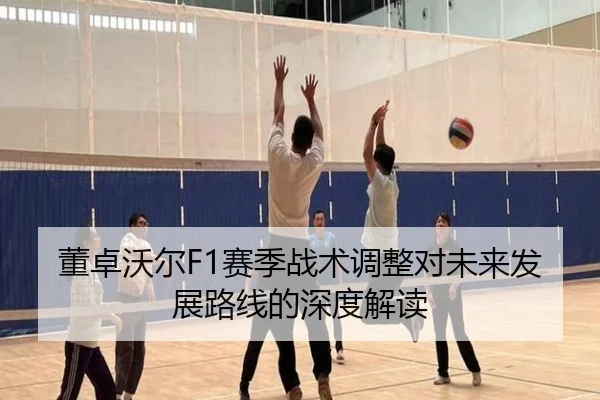 董卓沃尔F1赛季战术调整对未来发展路线的深度解读
